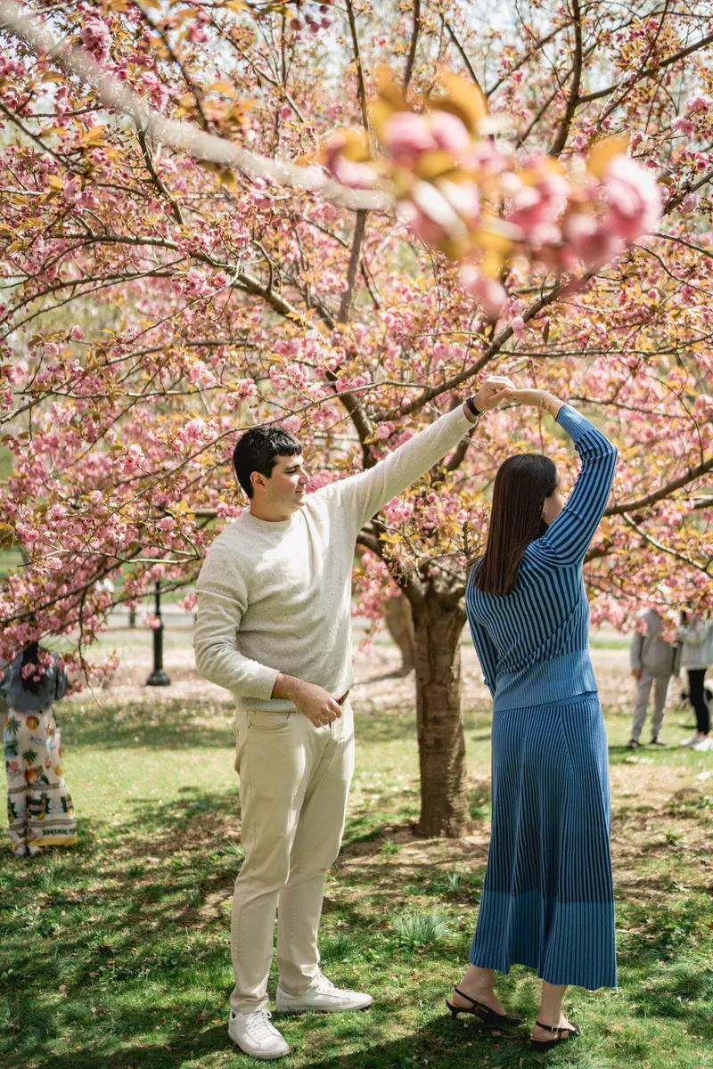 Back Bay and Commonwealth Avenue Mall, photographed by Paparazzi Proposals