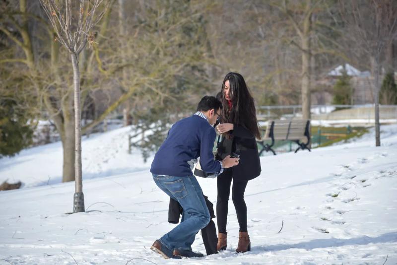 Proposal photographed in Toronto