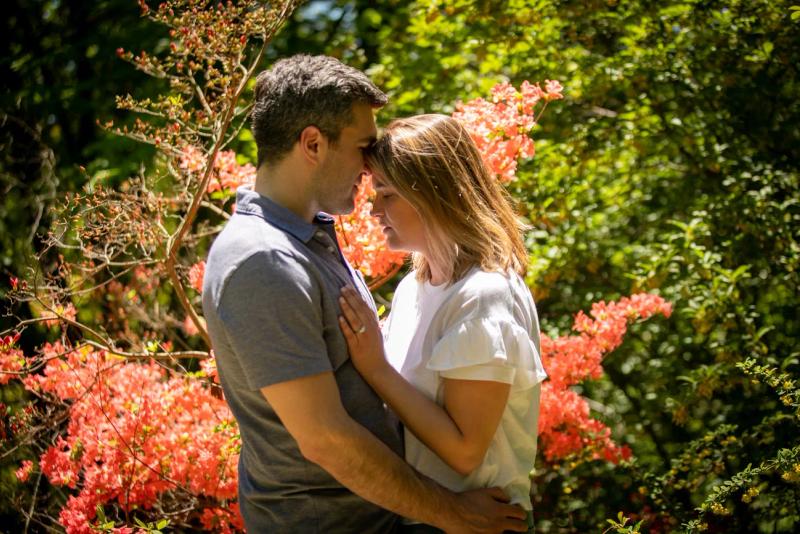 Arnold Arboretum, Boston
