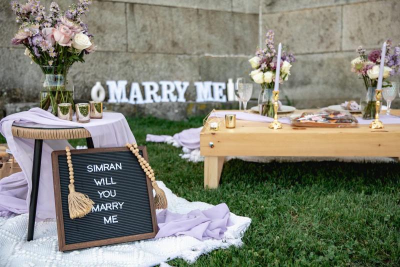 Boston Proposal Picnic Package in Boston