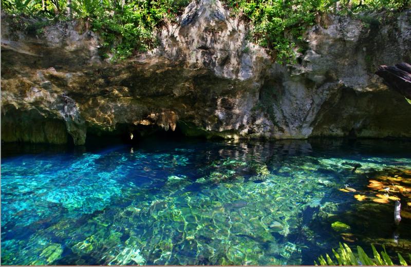 Gran Cenote, Tulum