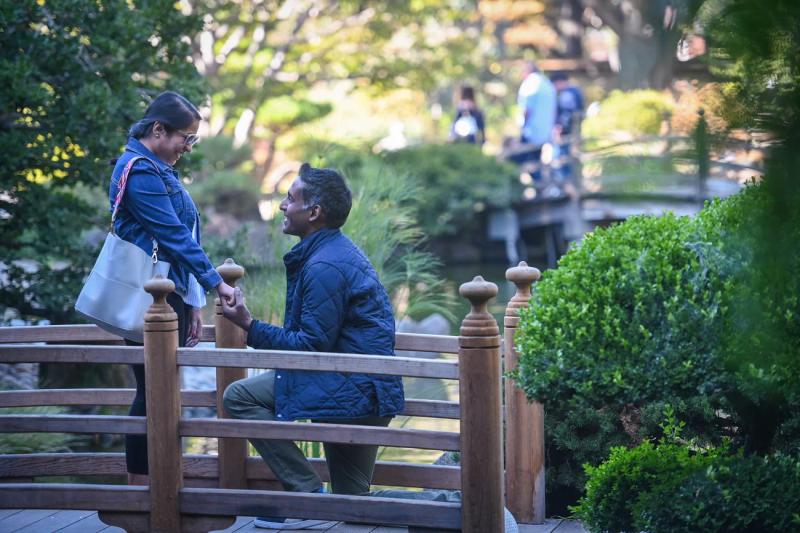 Japanese Tea Garden, San Francisco