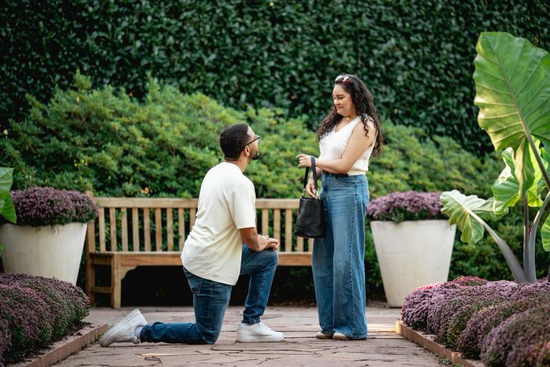 Proposal Photography Package, Dallas