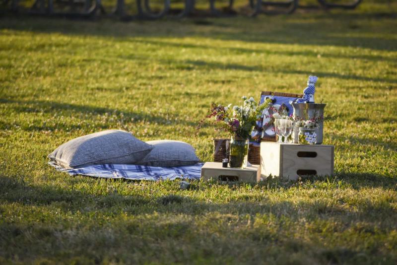 Picnic proposal, Los Angeles