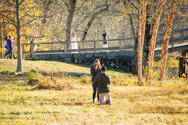Estabrook Woods, Boston