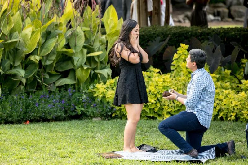 Nashville Proposal Photography| Michael and Alisa – surprise proposal at Centennial Park, Nashville
