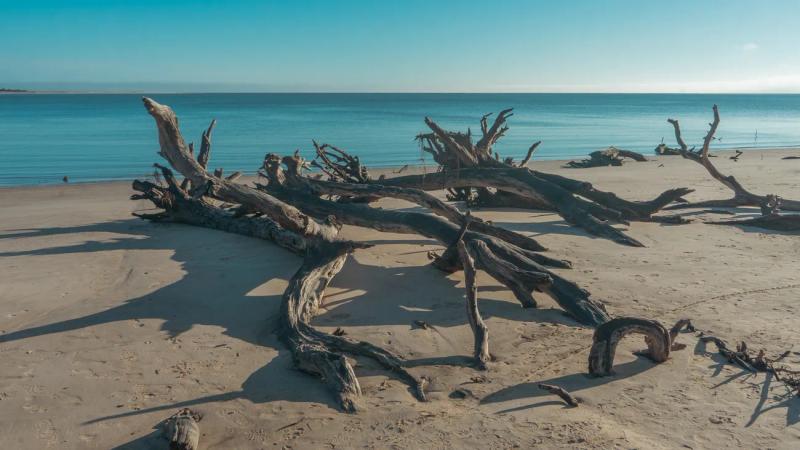 Boneyard Beach, Big Talbot Island, Jacksonville