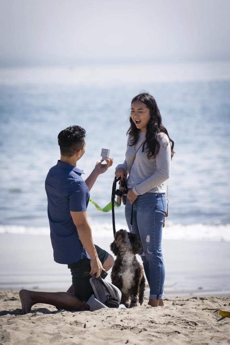 Proposal photographed in San Jose