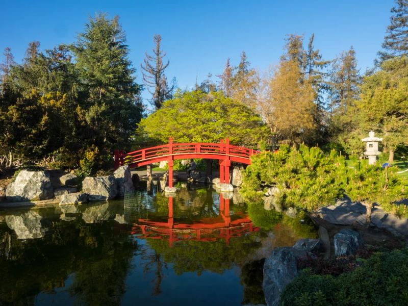 Japanese Friendship Garden, San Jose