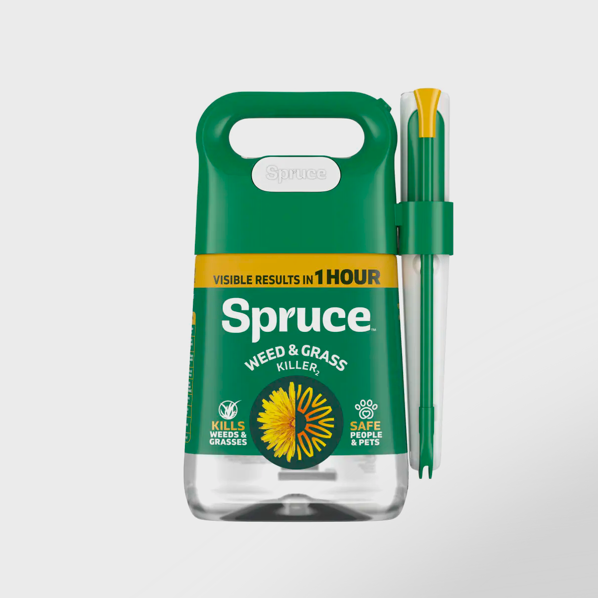 Spruce