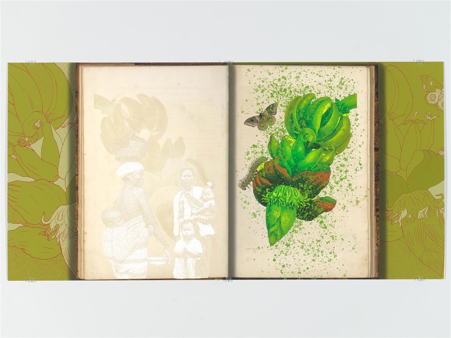 contemporary drawing of a plant with a caterpillar and butterfly