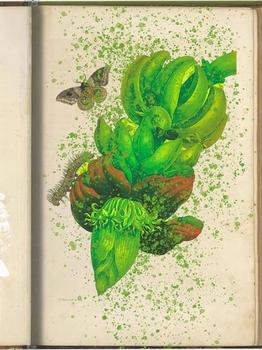 contemporary drawing of a plant with a caterpillar and butterfly