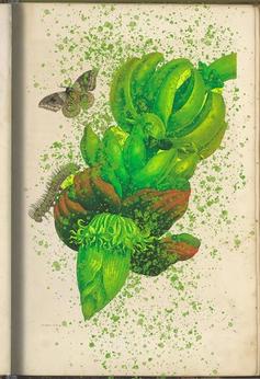 contemporary drawing of a plant with a caterpillar and butterfly