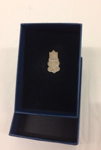 jeugdlintje, een zilveren speldje met het logo Stad naar mijn hart