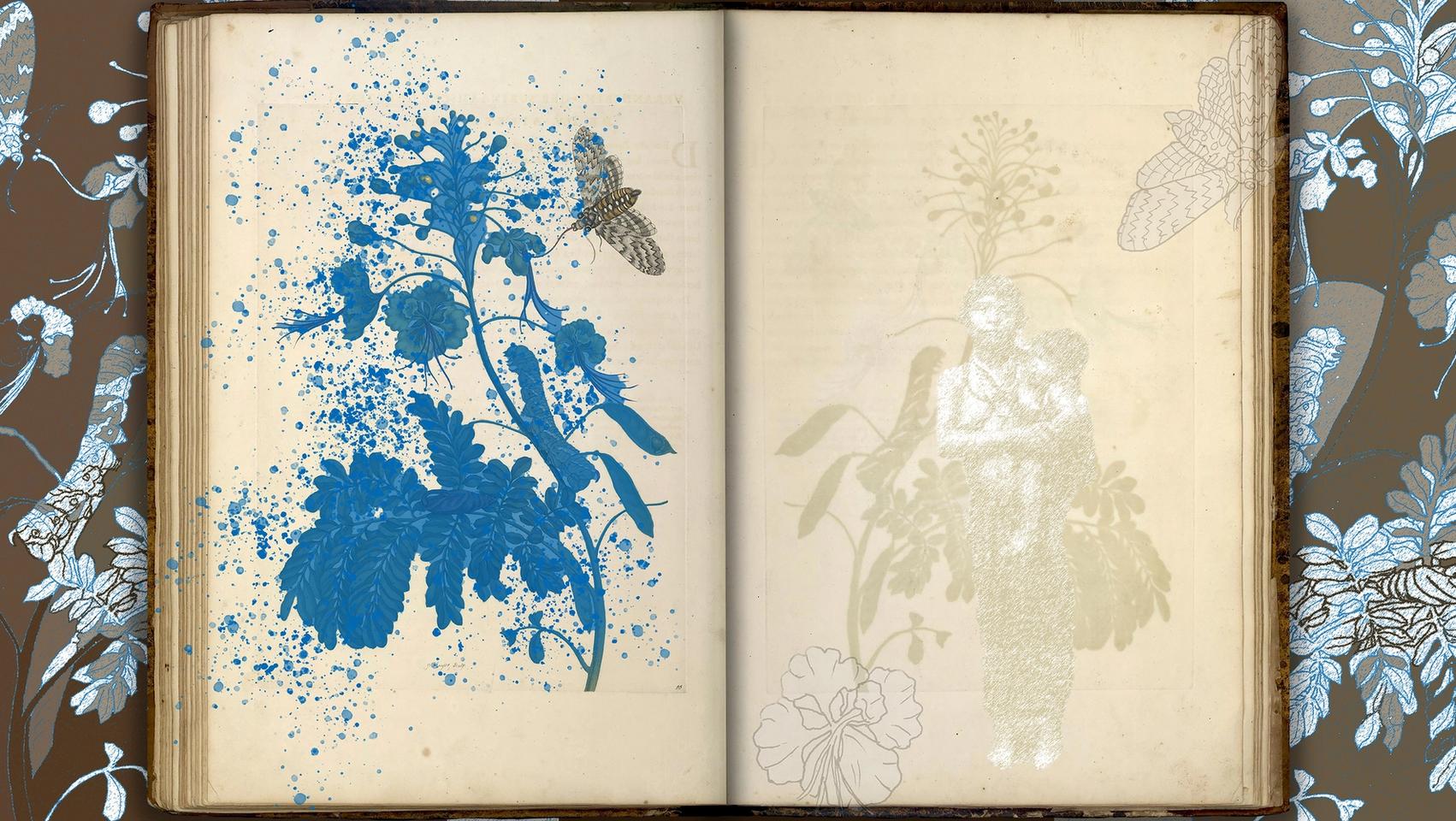 kunstwerk in een boek met blauwe planten en rechts een staand persoon