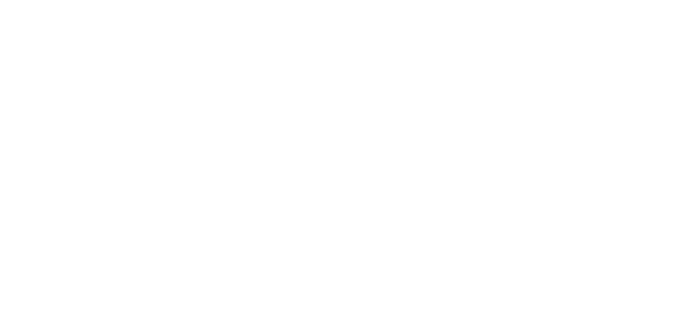 Iport
