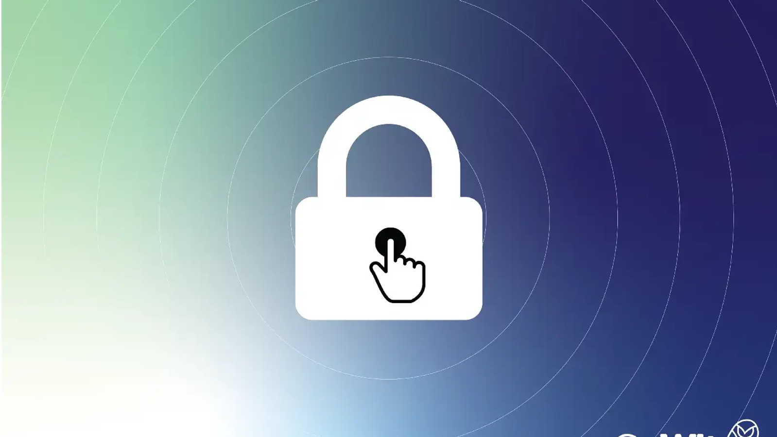 Privacy Issues for Digital Advertising