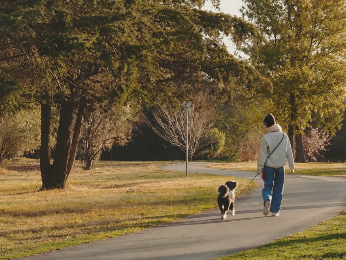What my dog has taught me about being human