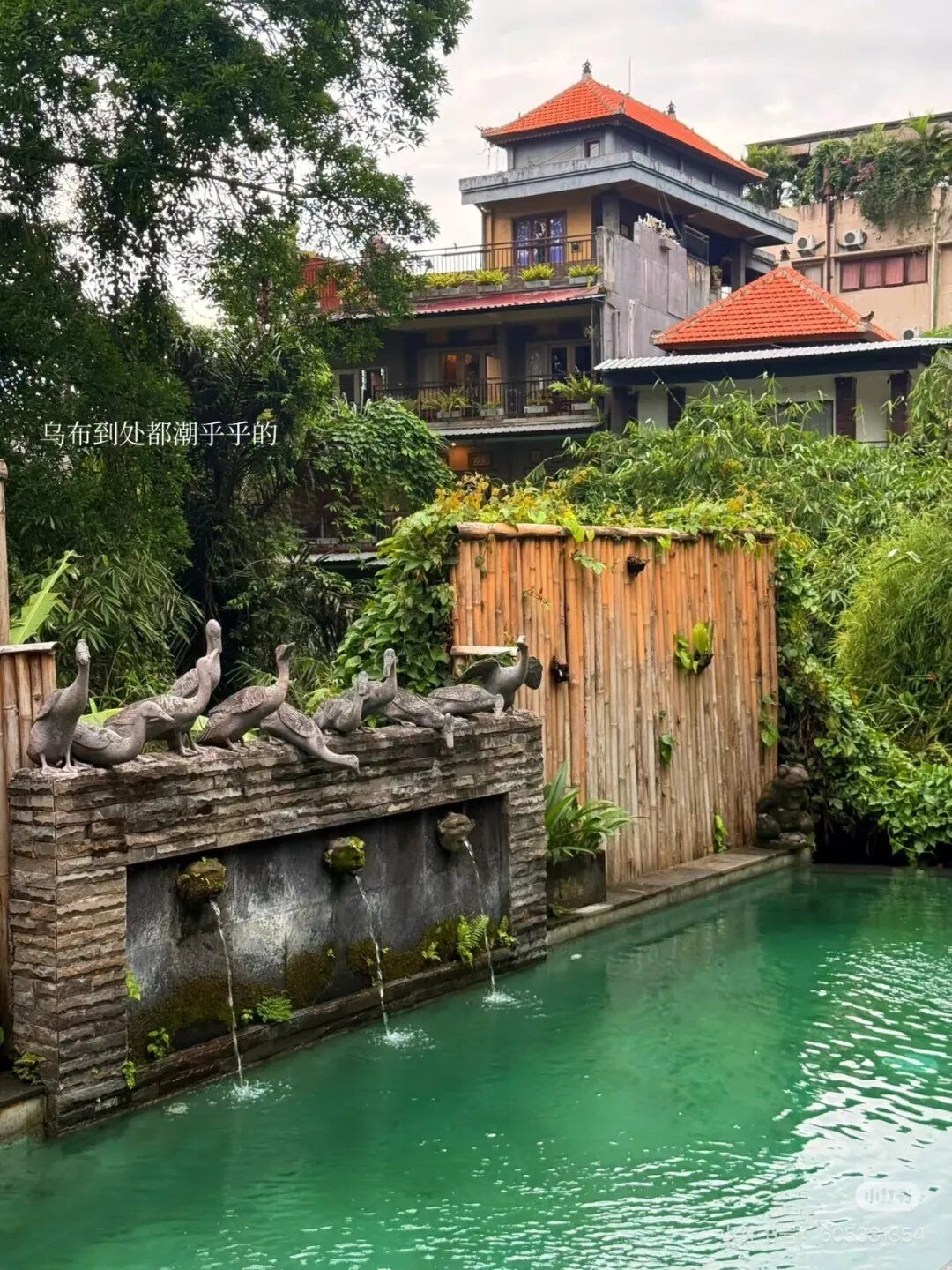 Ubud 民宿 18