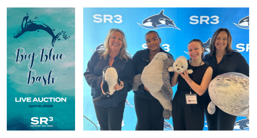 Mission Focused Fundraising: How SR3 Raised 268% of Their Goal