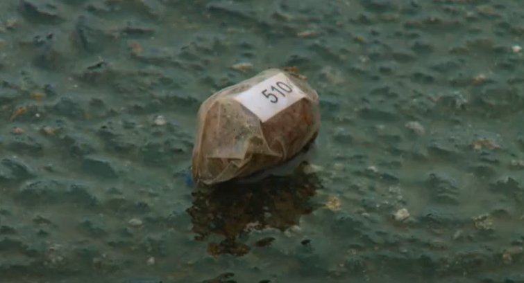 Moose Poop from the Sky: Fundraising the Alaska Way