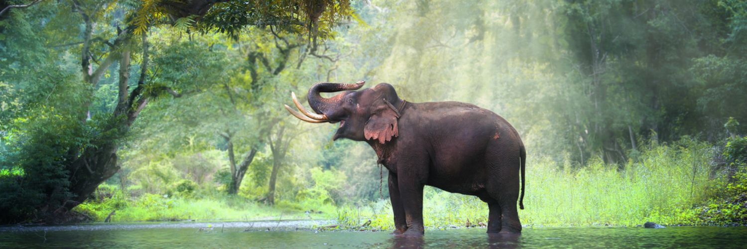 How to efficiently find inkind donations