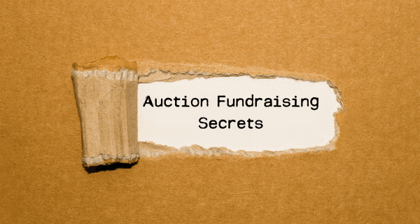 Auction Fundraising Case Studies & Best Practices