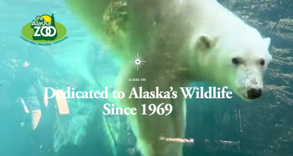 Champions of the Wild: The Alaska Zoo Gala Roars for a Cause