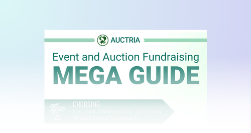 Event & Auction Fundraising Mega Guide 28-pages
