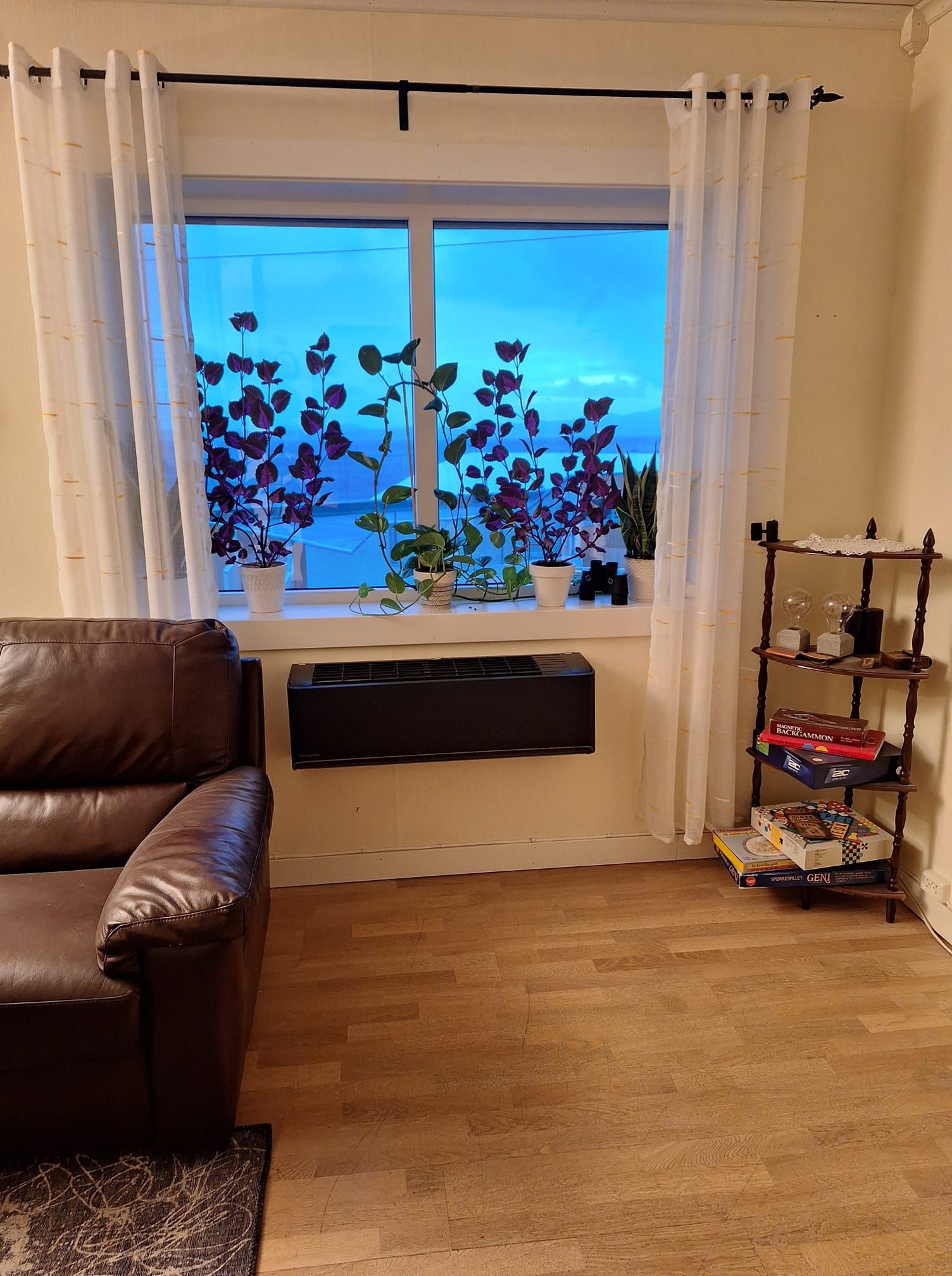 Bilde sendt inn av kunde. Foto: Holger Astor Johansen