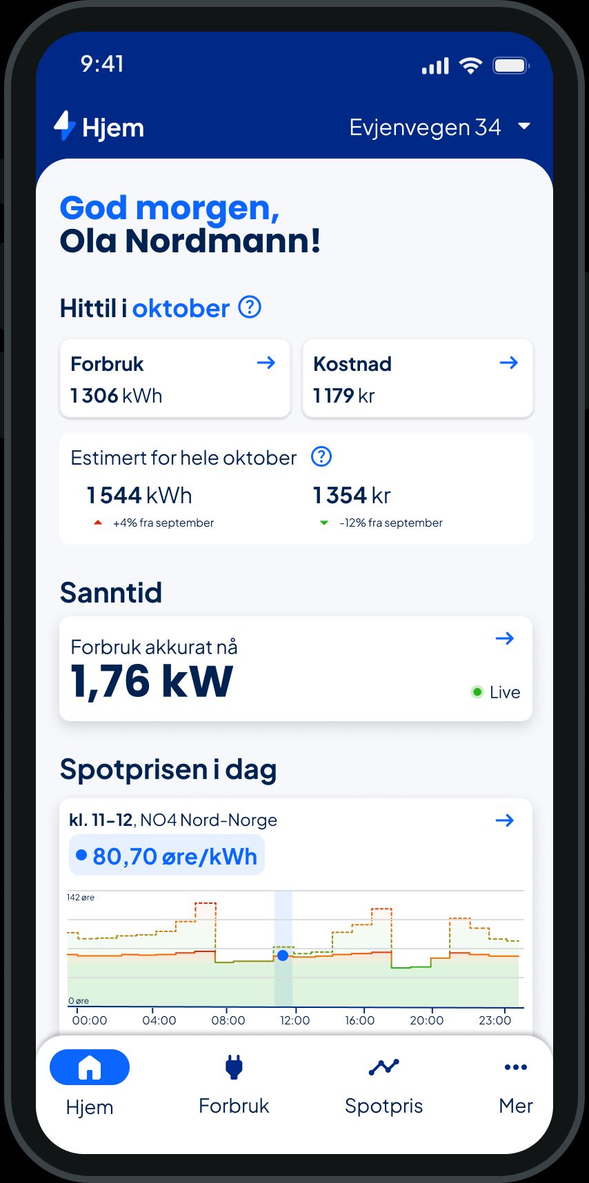 Viser startskjermen av Ishavskraft-appen med et avsnitt som viser Sanntid - Forbruk akkurat nå.