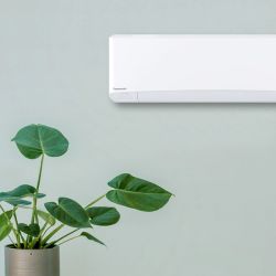 Panasonic Eco 6.5 luft til luft varmepumpe i hvit med sine moderne linjer henger på en mintgrønn vegg med en harmonisk monstera plante i forgrunnen