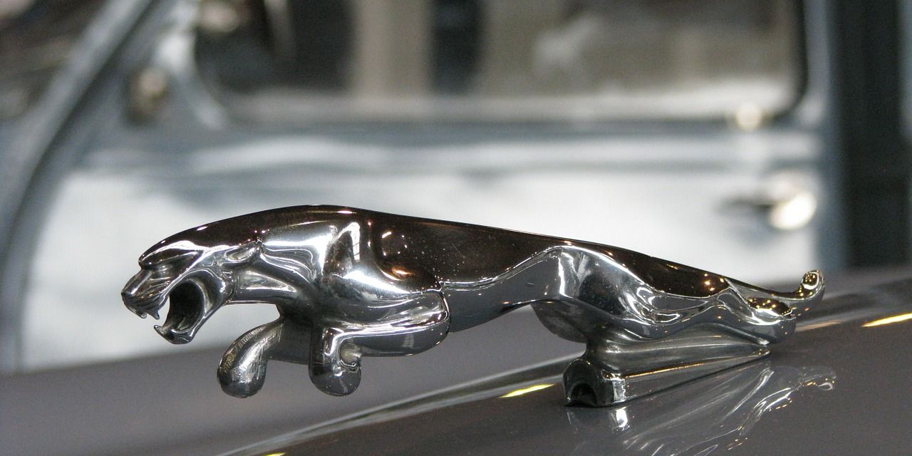 The History of Jaguar