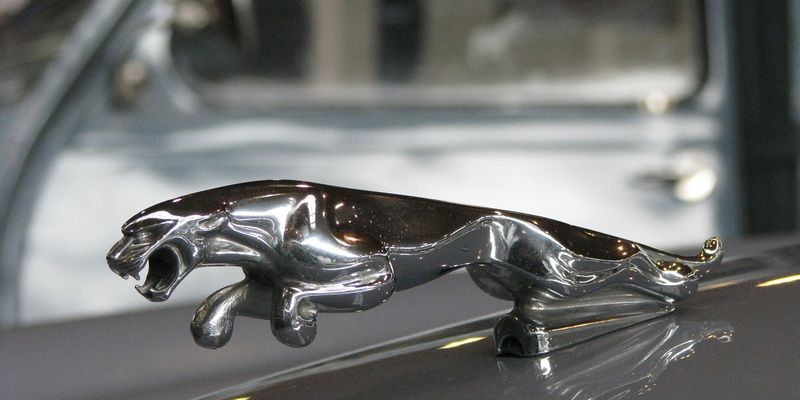 The History of Jaguar