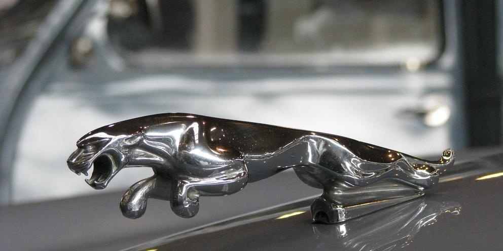 The History of Jaguar