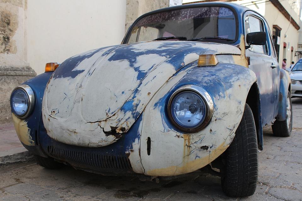 Free photos of Beetle