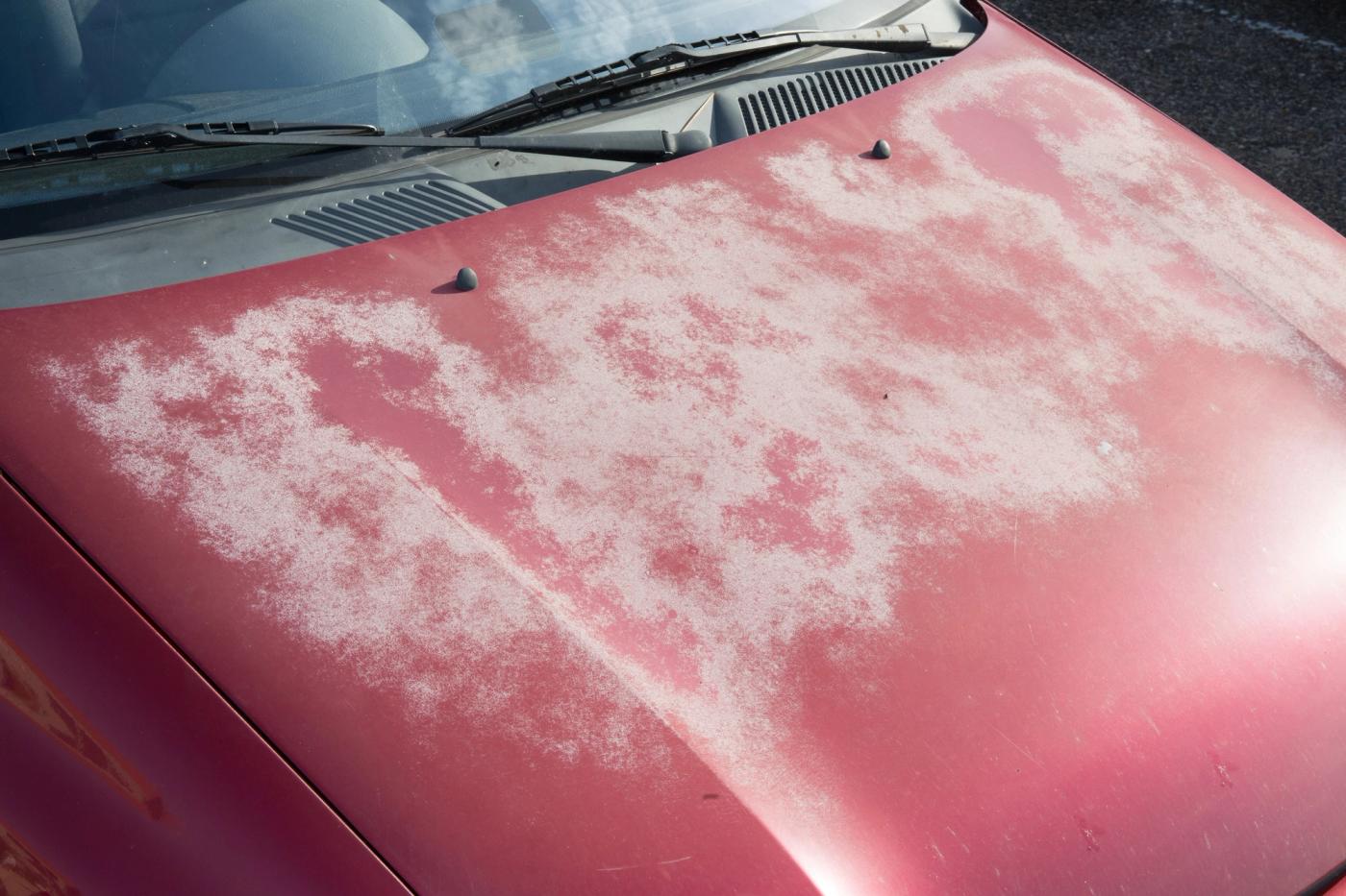 Sun Damaged Hood