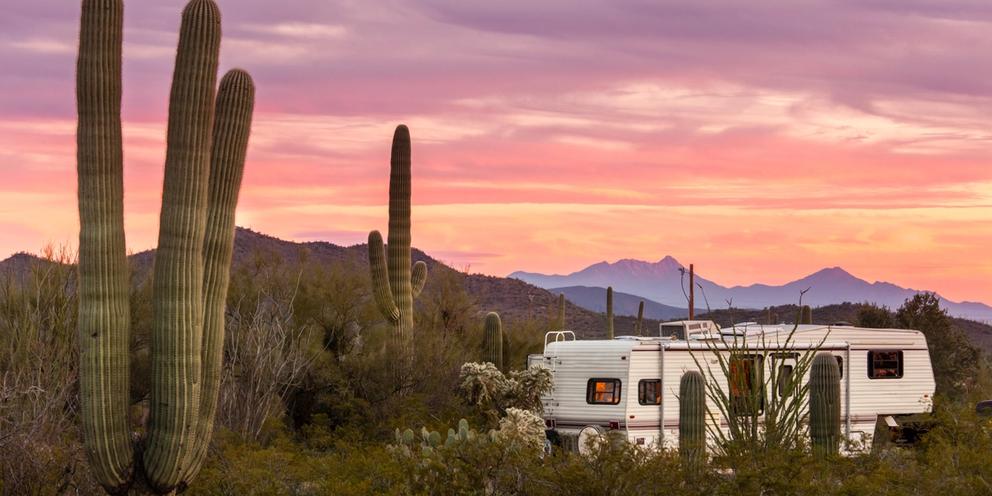 Motorized RVs