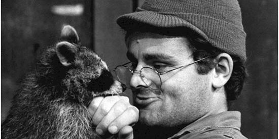 Origin of The Historic M1941 US Army Jeep Cap