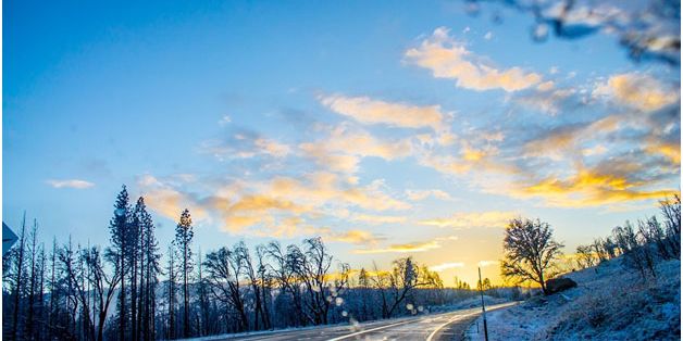 7 Best Cars for Outdoor Enthusiasts