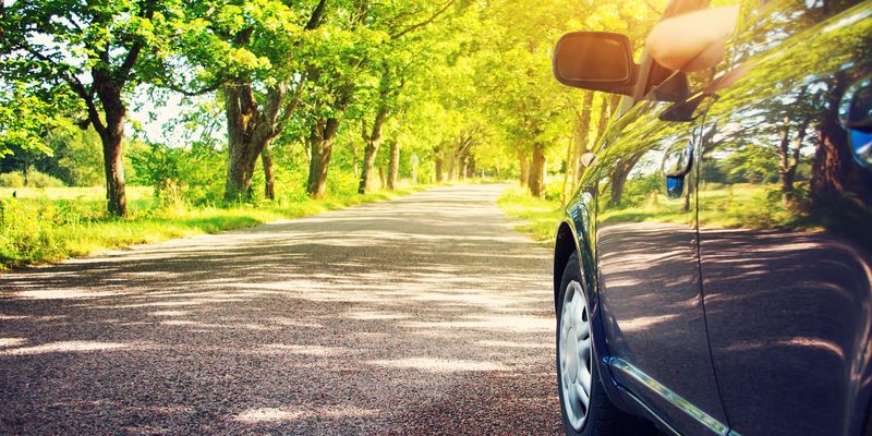 Protect your car in wooded areas