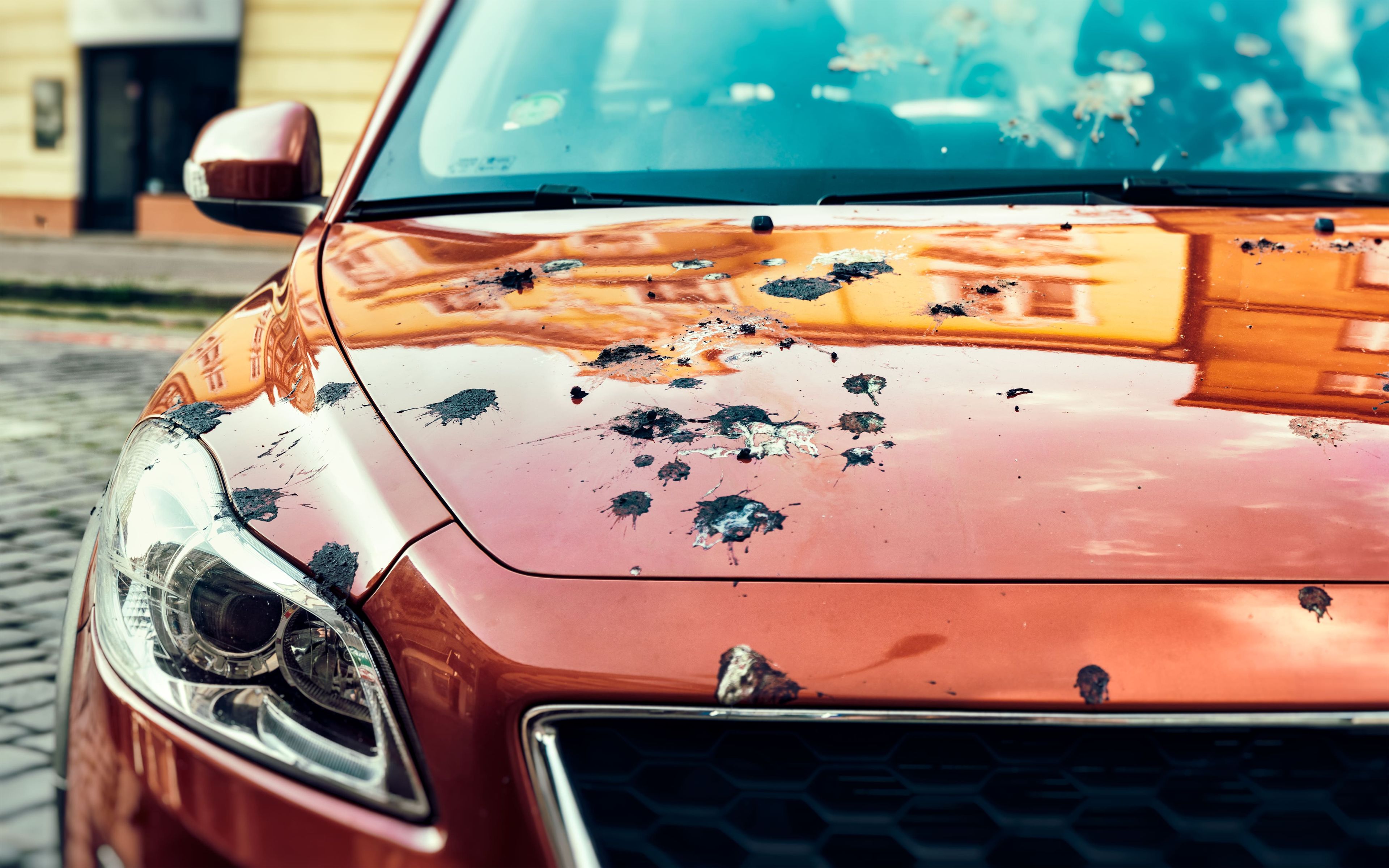 10 Things That Can Seriously Mess Up Your Car's Paint