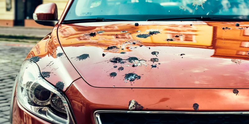 car-covered-bird-droppings
