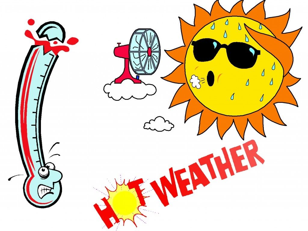 Hot sun can be damaging to your vehicles finish