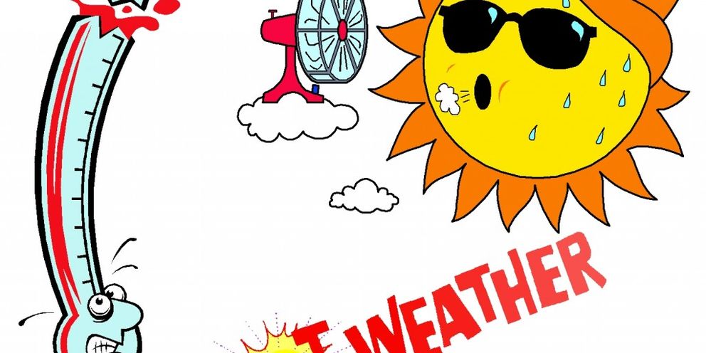 Hot sun can be damaging to your vehicles finish