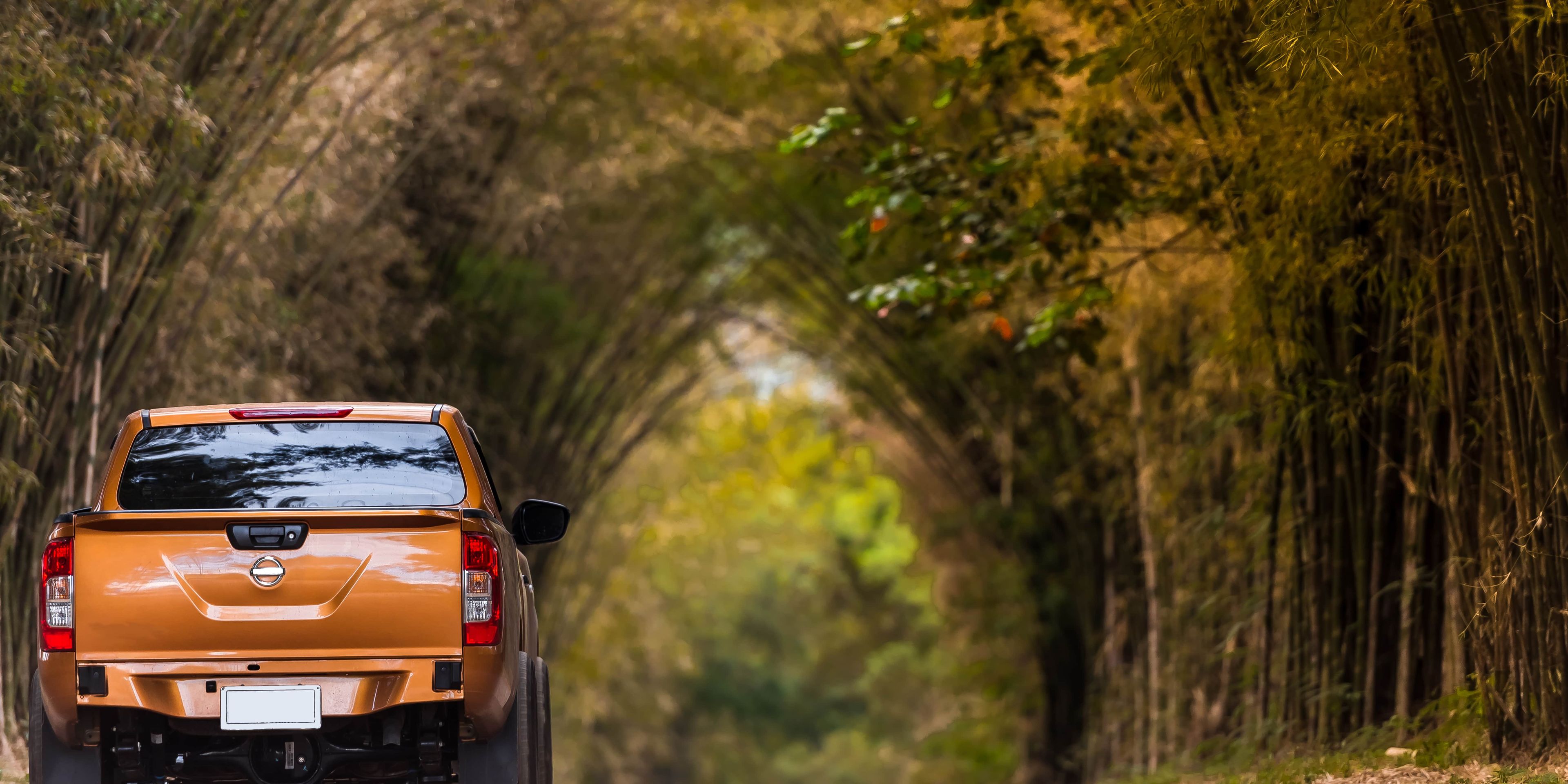 pickup-truck-on-dirt-road-two