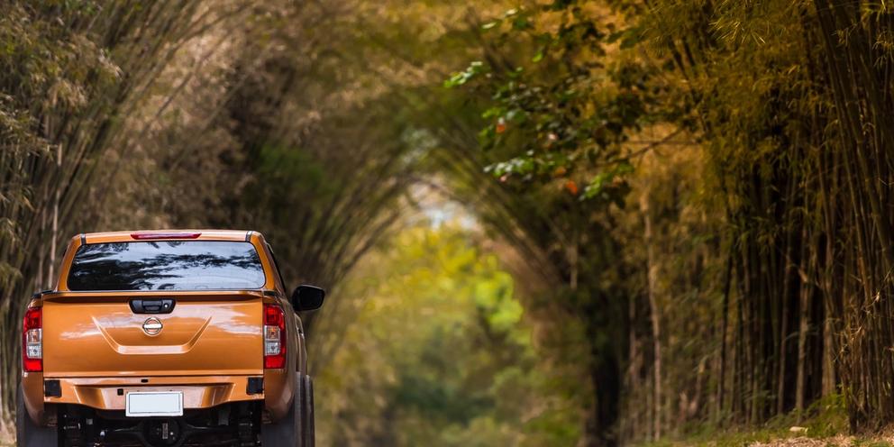 pickup-truck-on-dirt-road-two