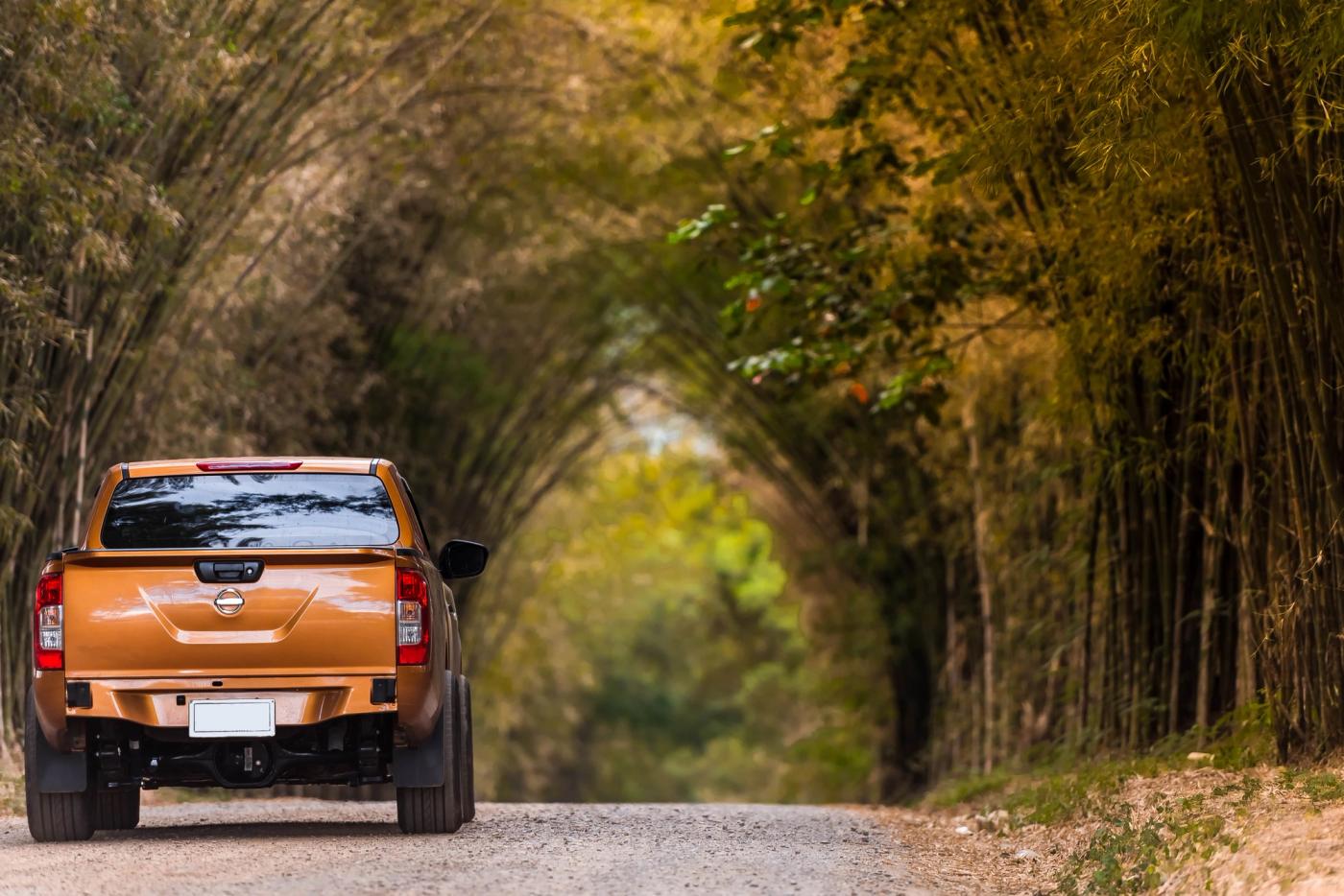 pickup-truck-on-dirt-road-two