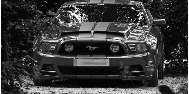 Ford Mustang Models and History