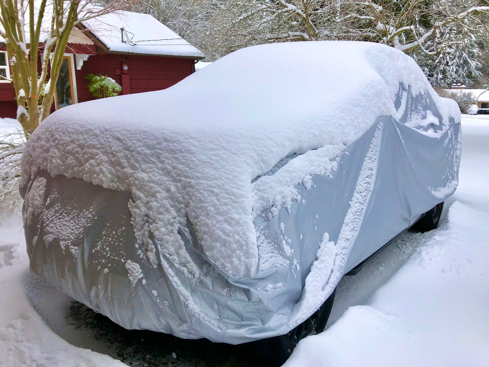 Snow on truck with cover